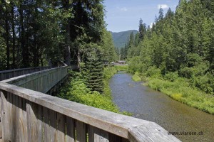 030_am Fish Creek kommen im Juli und August die Lachse flussaufwärts und man kann den Bären beim Fressen zuschauen